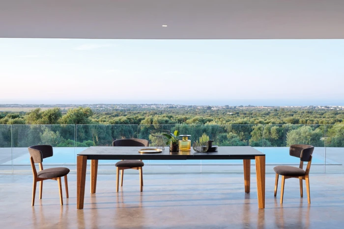 Friulsedie - Cartesio